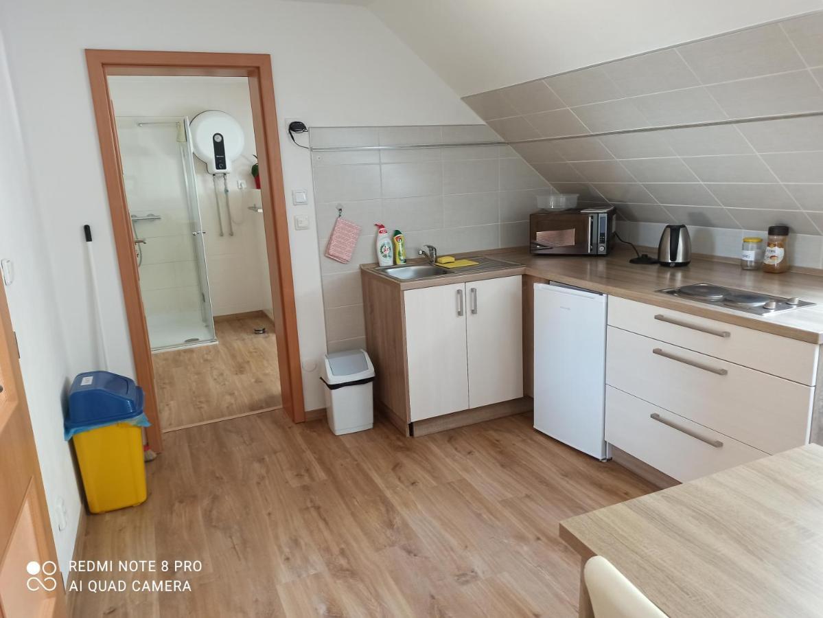 Apartma Na Lipne Apartment Horní Planá Bagian luar foto